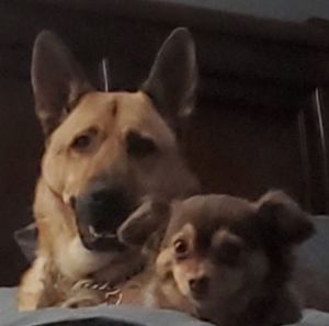 Meet your Posher, Liesa